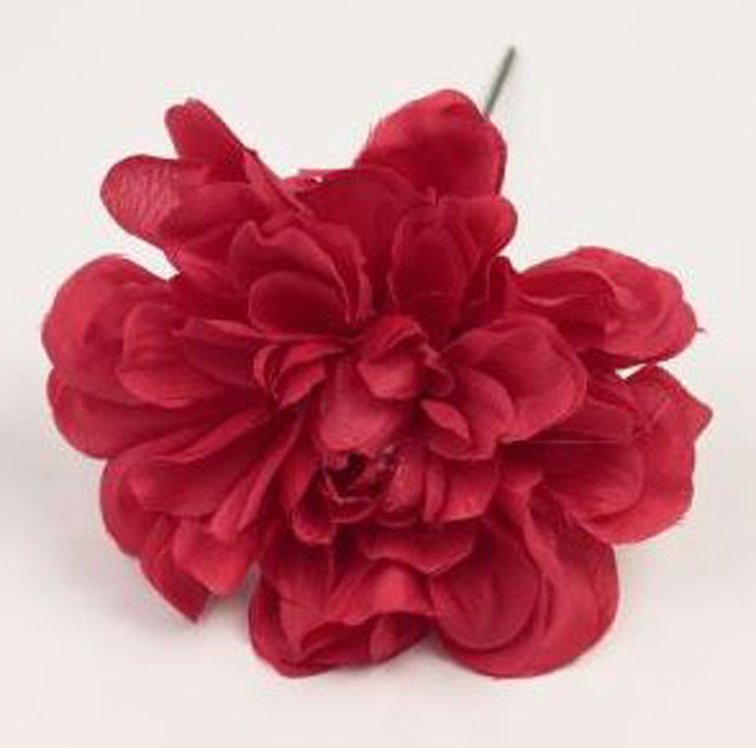 Zinnia. Fleur de Flamenco. Rouge. 9cm